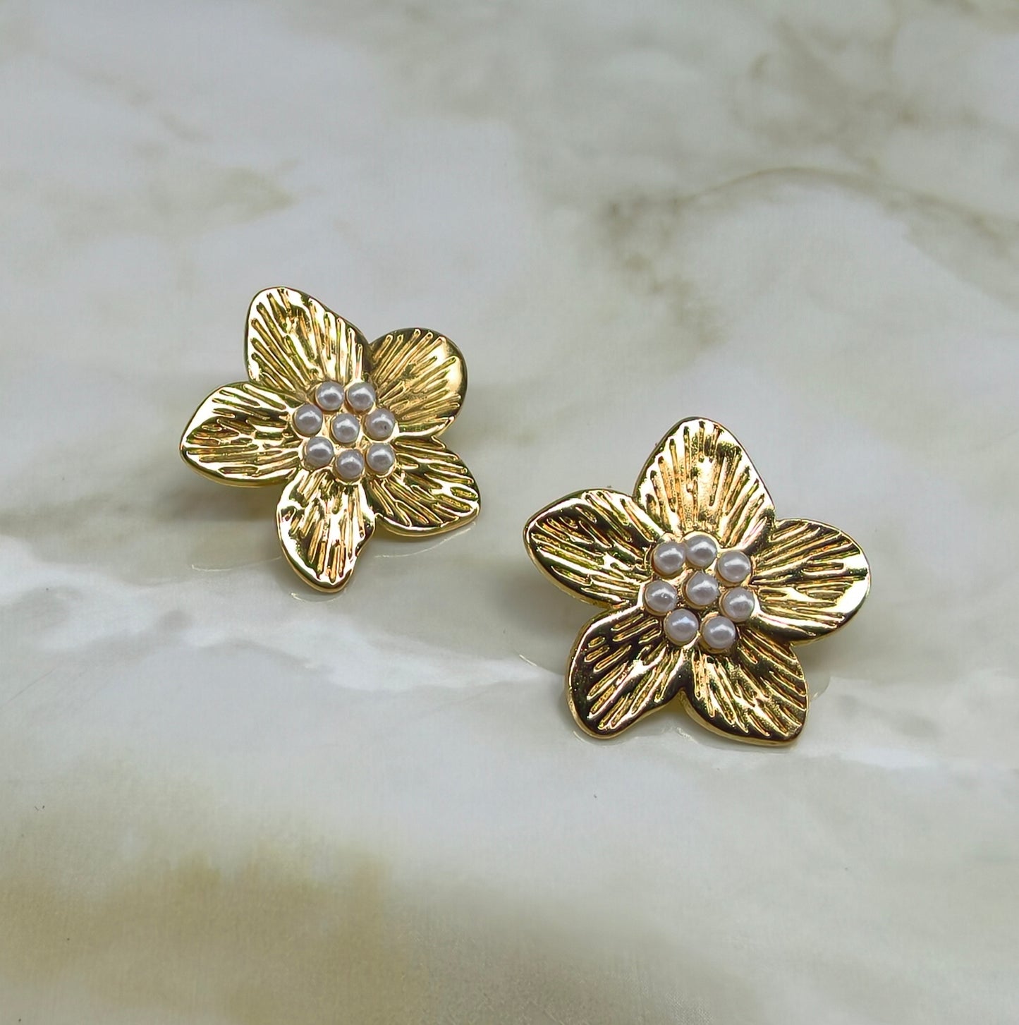 Boucles d'oreilles Barbade acier inoxydable