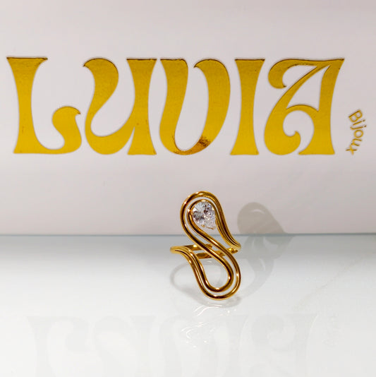 Bagues Springs Valley acier inoxydable