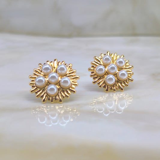 Boucles d'oreilles Anguilla acier inoxydable