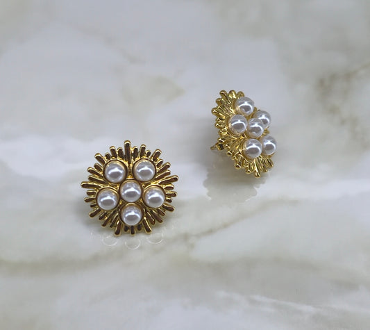 Boucles d'oreilles Anguilla acier inoxydable