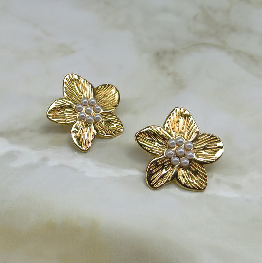 Boucles d'oreilles Barbade acier inoxydable