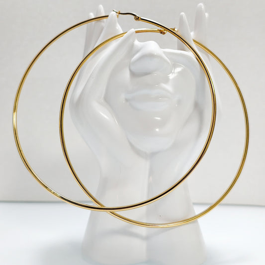 Boucles d'oreilles/créoles Robert acier inoxydable