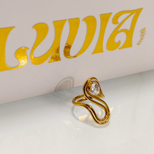 Bagues Springs Valley acier inoxydable