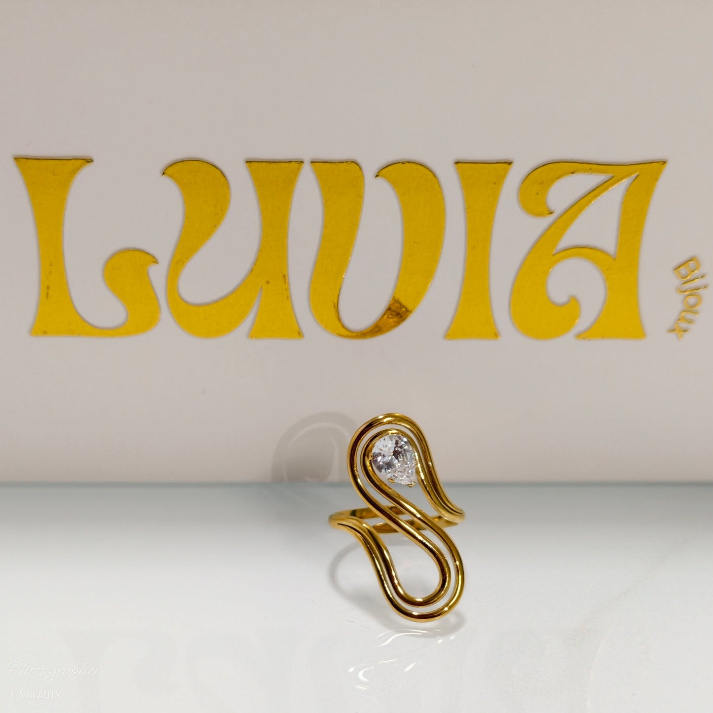 Bagues Springs Valley acier inoxydable