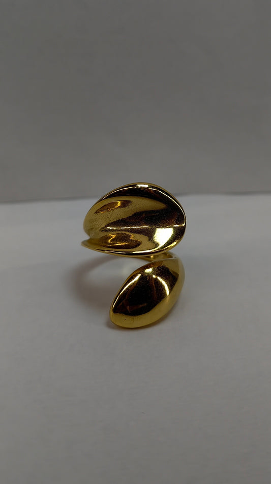 Bague Islande