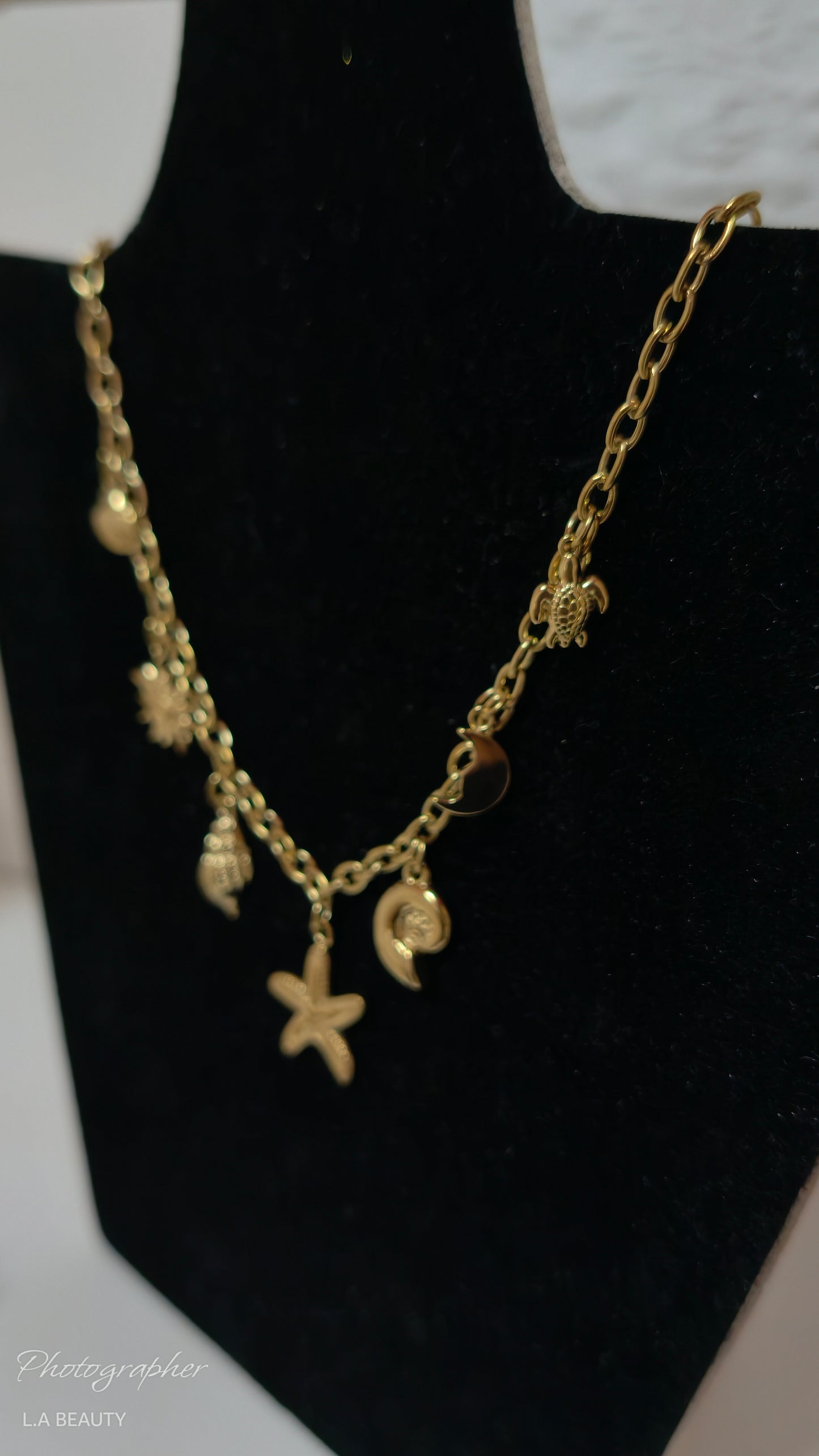 Collier breloques Papeete acier inoxydable