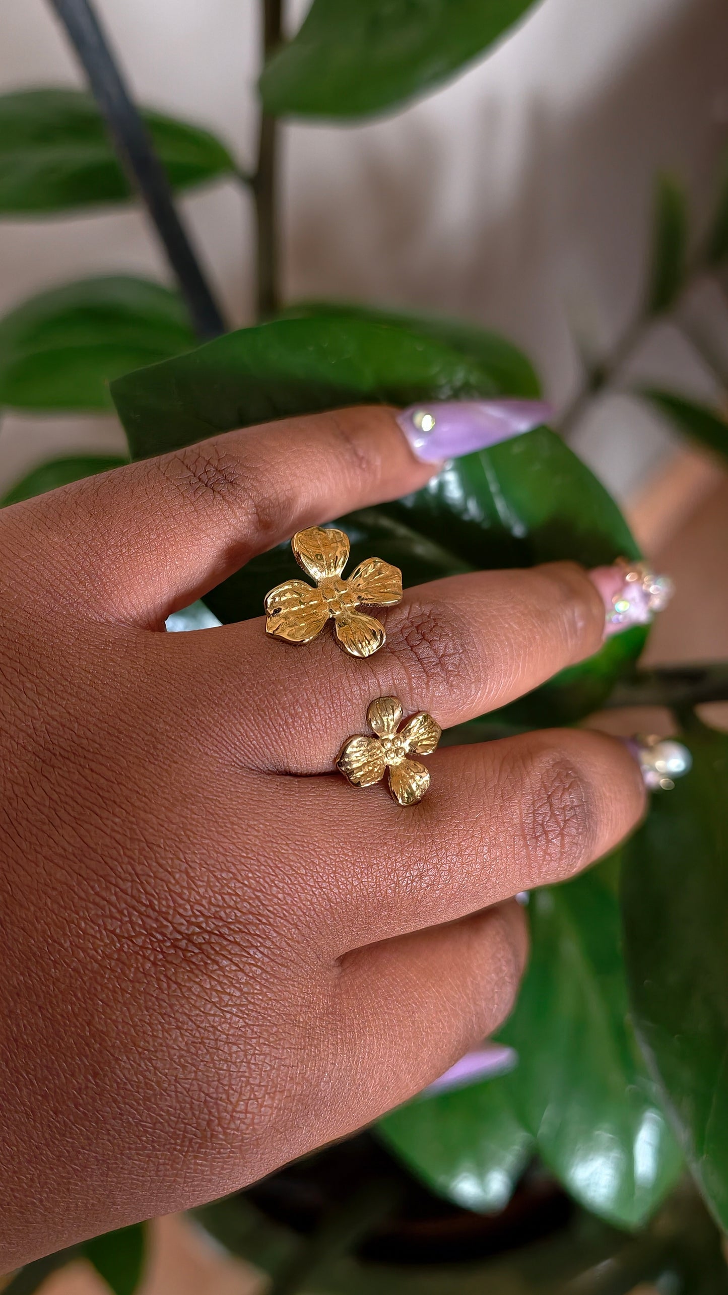 Bague Anguilla
