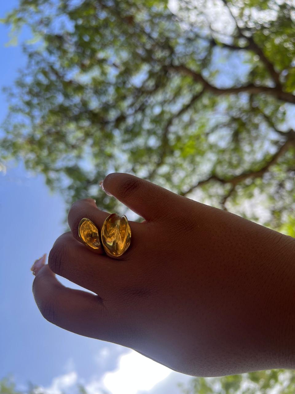 Bague Islande