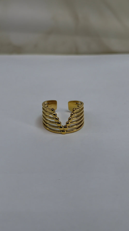Bague Venezuela