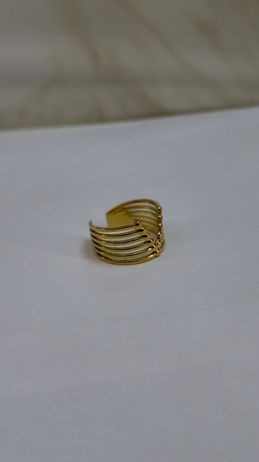 Bague Venezuela
